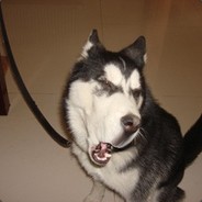 Big Avatar