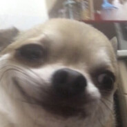 ПРЫГ ПРЫГ ПРЫГ ПРЫГ ПРЫГ ПРЫГ ПР