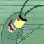 Plankton