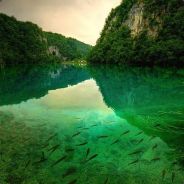 不作死就不会死