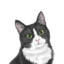 TuxedoCat