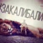 дал дал ушел