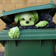 大电跟伤害总得打一个吧