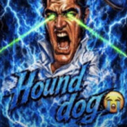 hound dog