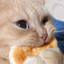 Breadlin