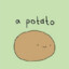 potatogratin