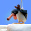 NOOT-NOOT