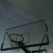 我学生物的你属于近亲繁殖