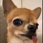tnyks no trust!