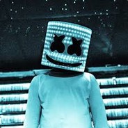 ******** - steam id 76561197961868502