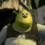 Corumlu Shrek