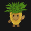King Pineapple