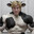 The bad cow