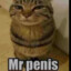 Mr. Penis