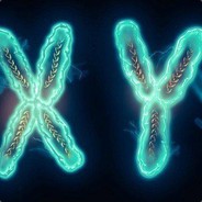 我这垃圾解析让你见笑了