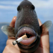 给我口香糖 不要香 不要糖