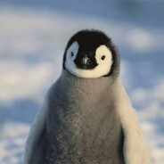 Happy Penguin
