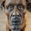 Sr. Dog