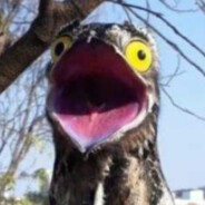 tame impala rrrrreal hiphop