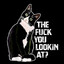 mr. Cat&#039;s