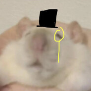 Аватар MRFancyRat