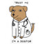 dogtor avemiller (◕‿◕)