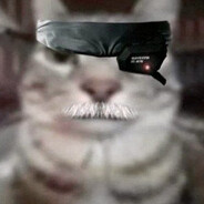 avatar DingDog