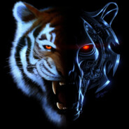 𝓑𝓪𝓻𝓼𝓲𝓴