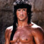 Testo Stallone