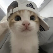 azaboy