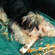 только проснулся