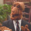 Alf