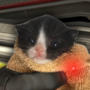 джазик ванилька - steam id 76561199179694038