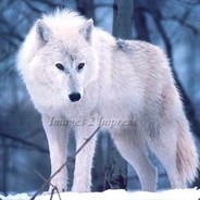 神秘莫测的鬼皮撞脸