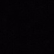 电脑玩家萨瓦纳