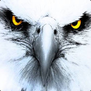 EagleEye