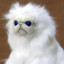 Jim's avatar