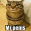 Mr.Penis