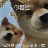 还有好多饭我胀不下