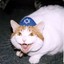 Jewcat