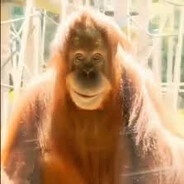 ИГРАЮ ПОД ВОДКОЙ