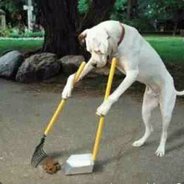 ChewinChocolate - steam id 76561197964319587