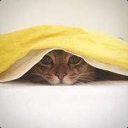 C4TMAN - steam id 76561197960551707
