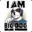 BigDog