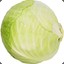 Cabbage