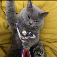 被爱就像中彩票