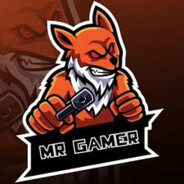 Mr_Gamer
