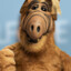 Alf