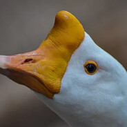 QUE GIL Q SOY SIEMPRE ME LA MAND