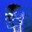 percgroupies avatar